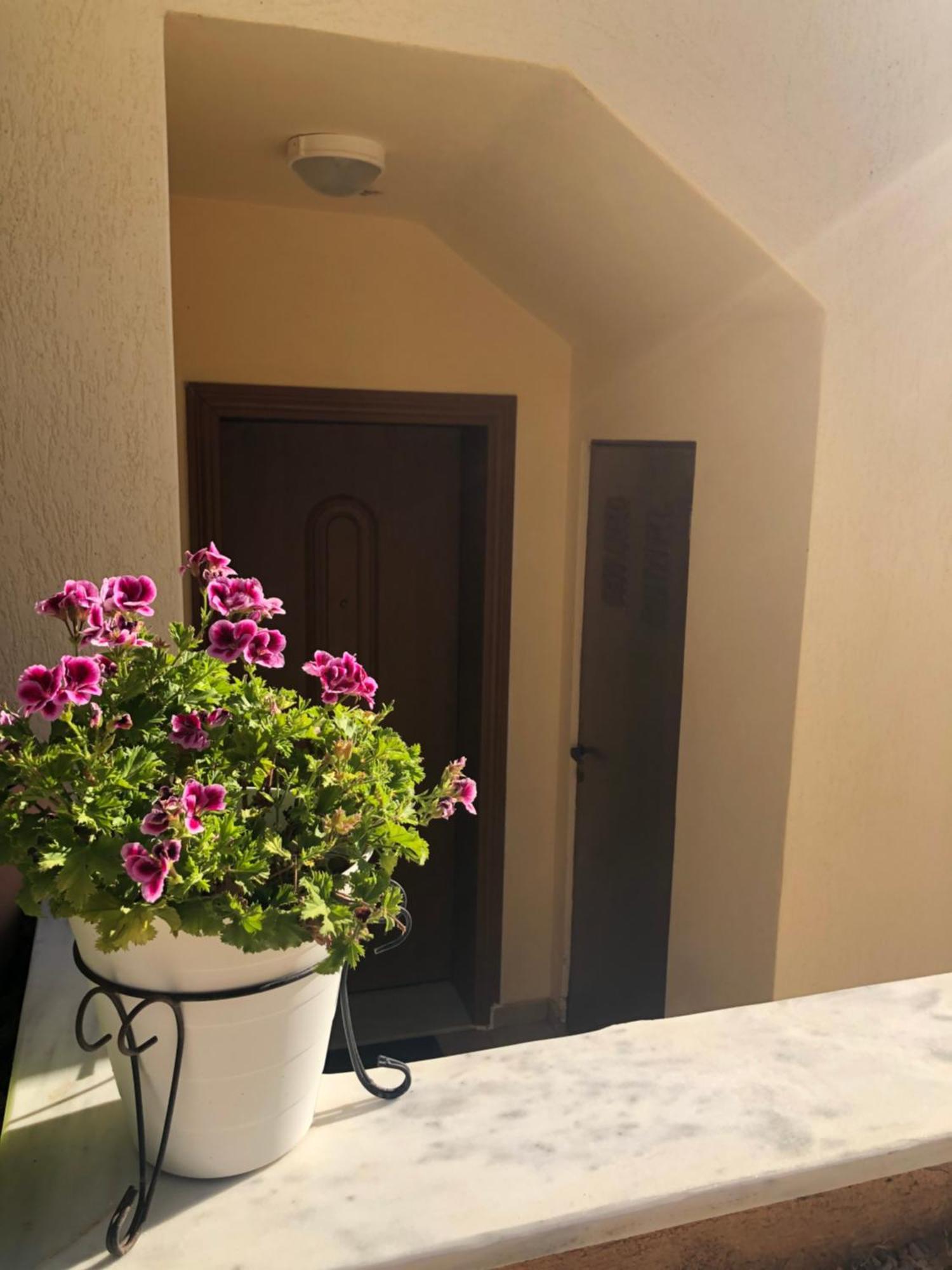 דירות Artemis House מראה חיצוני תמונה